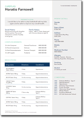 Careplan Health Summary Example